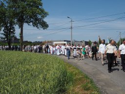 p5305924